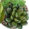 7" Tall, Artificial Plant, Succulent, Indoor, Faux, Fake, Table, Greenery, Potted, Decorative (Set of 2) - Green / White - Image 4