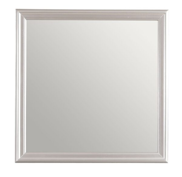 Elegant Transitional - Mirror - Silver Champagne
