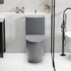 1 Piece Tornado Flush Toilet With Soft Close Seat And Dual Flush Siphonic S Trap - Light Gray - Image 5