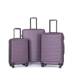 3 Piece Luggage Sets Lightweight Suitcase With Two Hooks, Spinner Wheels, Tsa Lock, (20/24/28) - Purple