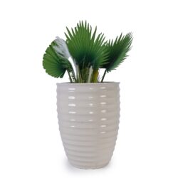 Ceramic Flowerpot, Planter For Patio & Garden Or Windowsill - Milk White