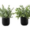 11" Tall, Artificial Plant, Eucalyptus Grass, Indoor, Faux, Fake, Table, Greenery, Potted, Decorative (Set of 2) - Green / Black - Image 6