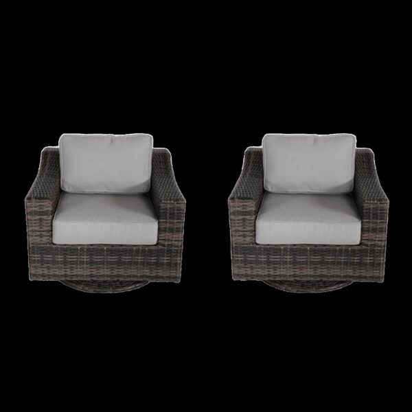 Contemporary Outdoor Swivel Patio Chair With Cushions (Set of 2) - Brown