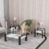 Modern Tempered Glass Tea Table, End Square Table For Living Room (Set of 2) - Transparent / Black - Image 13