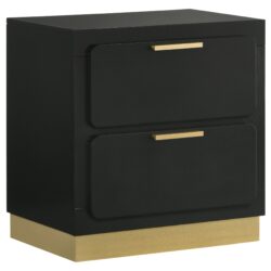 Nightstand With 2 Drawer Storage Wooden Bedroom Furniture - Black / Gold
