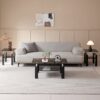 Tempered Black Glass Coffee Table, 2-Layers Tea Table - Black - Image 5