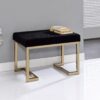Boice - Ottoman - Black / Champagne - Image 5