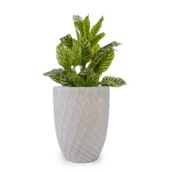 Ceramic Flowerpot, Planter For Patio, Garden, Windowsill - Milk White