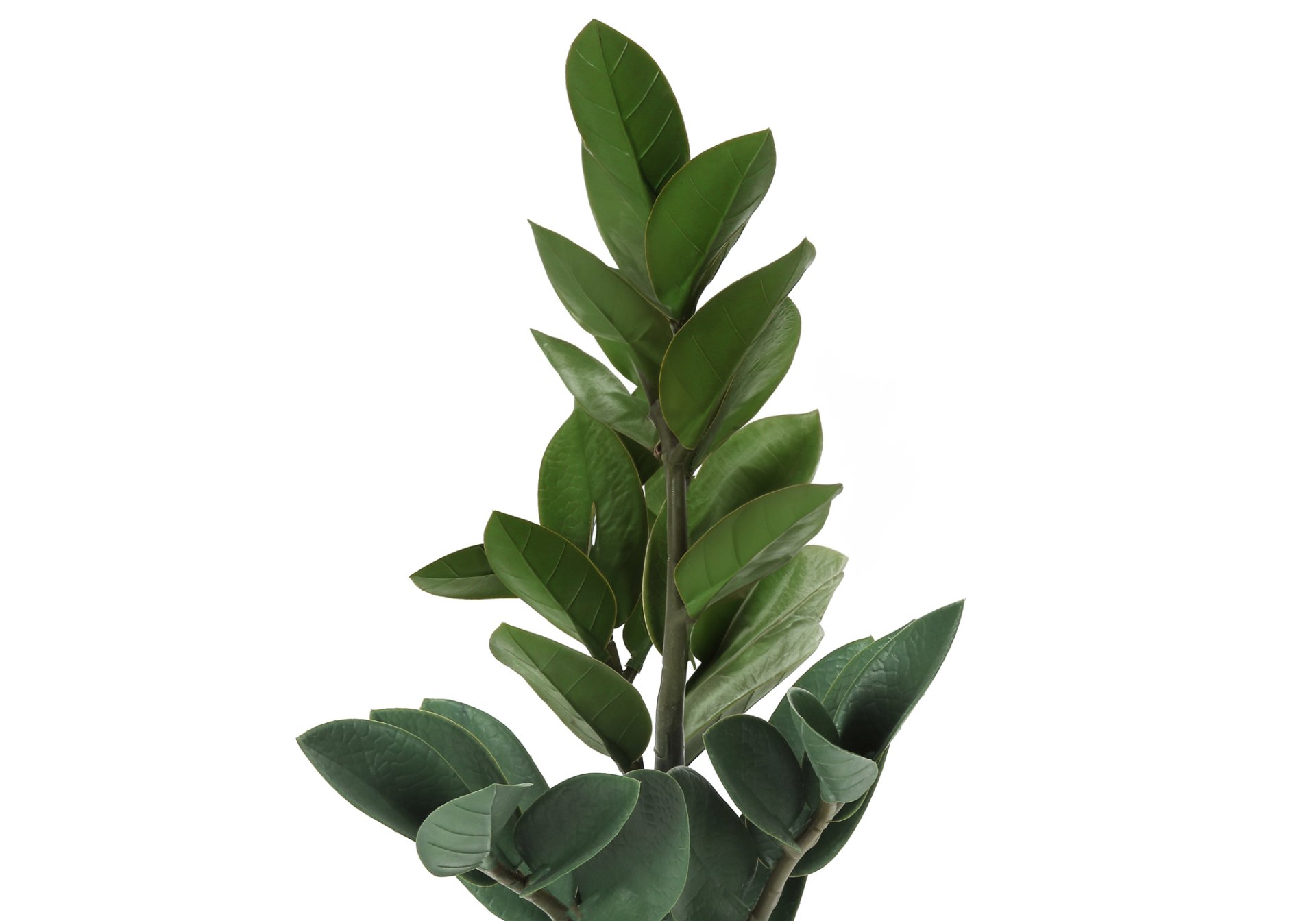 20" Tall, Artificial Plant, Zz, Indoor, Faux, Fake, Table, Greenery, Potted, Real Touch, Decorative - Green / Gray - Image 3