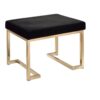 Boice - Ottoman - Black / Champagne - Image 2