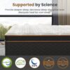 10" Full Plush Hybrid Mattresses With Gel Memory Foam, Individual Pocket Spring Motion Isolation Edge Support - White / Black - Image 9