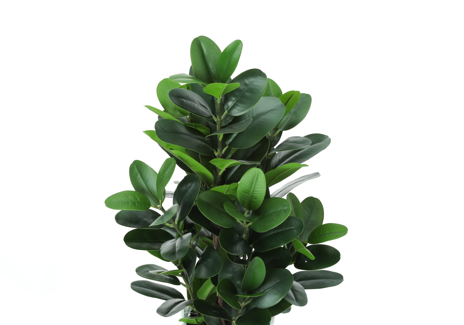 31" Tall, Artificial Plant, Garcinia Tree, Indoor, Faux, Fake, Floor, Greenery, Potted, Real Touch, Decorative - Green / White - Image 4