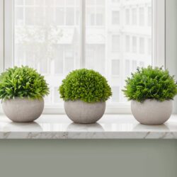 5" Tall, Artificial Plant, Grass, Indoor, Faux, Fake, Table, Greenery, Potted, Decorative (Set of 3) - Green / Gray