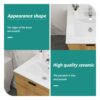 Premium Rectangular Vanity Top With Single Faucet Hole And Overflow - White - Image 6