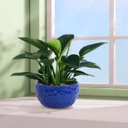 3 Pieces Ceramic Planter Pot, Indoor Outdoor Flowerpot For Patio, Garden, Or Windowsills Antique - Antique Blue