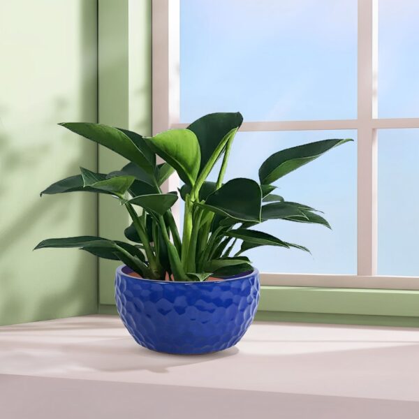 3 Pieces Ceramic Planter Pot, Indoor Outdoor Flowerpot For Patio, Garden, Or Windowsills Antique - Antique Blue