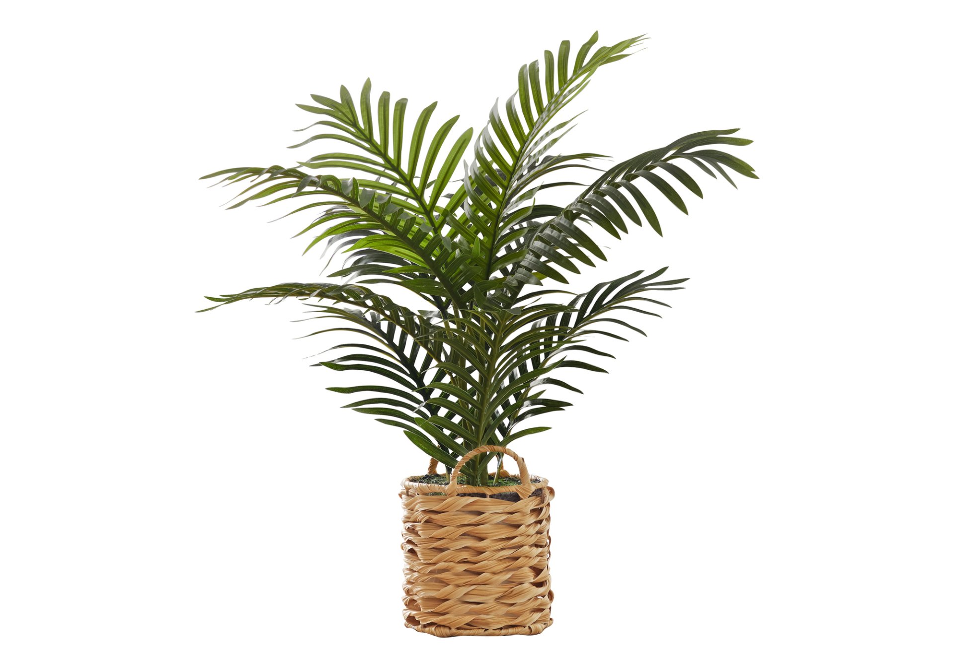 24" Tall, Artificial Plant, Palm, Indoor, Faux, Fake, Table, Floor, Greenery, Potted, Real Touch, Decorative - Green / Beige - Image 2