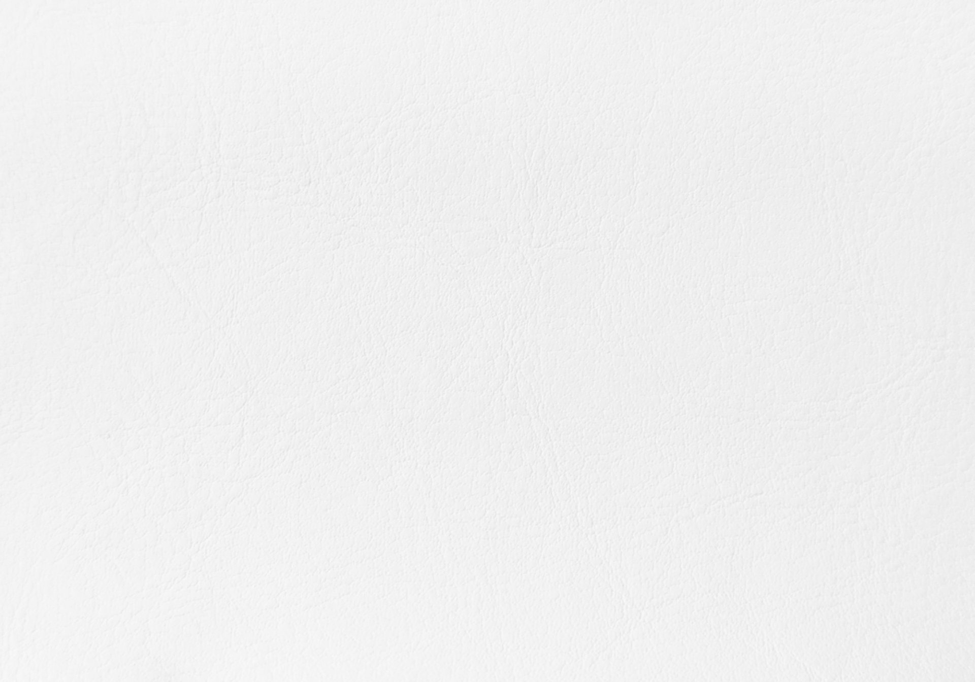 Twin Size Bed, Upholstered, Transitional - White - Image 5