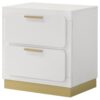 2 Drawer Bedroom Nightstand With And Wooden Furniture - Gold / White - Image 6