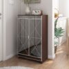Elegant Decor Mirrored Shoe Cabinet With Edging Double Door Storage Cabinets Glass - Brown / Silver / Gray - Image 4