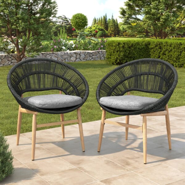 Cyril - Outdoor Wicker Papasan Style Dining Chair (Set of 2) - Dark Gray / Teak
