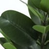 28" Tall, Artificial Plant, Garcinia Tree, Indoor, Faux, Fake, Floor, Greenery, Potted, Real Touch, Decorative - Green / Black - Image 3