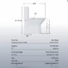 1 Piece Toilet With Dual Flush & Rimless Bowl - Glossy White - Image 3