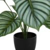24" Tall, Artificial Plant, Calathea, Indoor, Faux, Fake, Table, Greenery, Potted, Real Touch, Decorative - Green / Black - Image 2