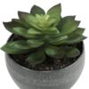 6" Tall, Artificial Plant, Succulent, Indoor, Faux, Fake, Table, Greenery, Potted, Decorative (Set of 3) - Green / Gray - Image 9