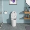 1 Piece Toilet And Soft Closing Seat - White - Image 4