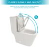 1 Piece Toilet & Dual Flush And Soft Closing Seat - White - Image 8