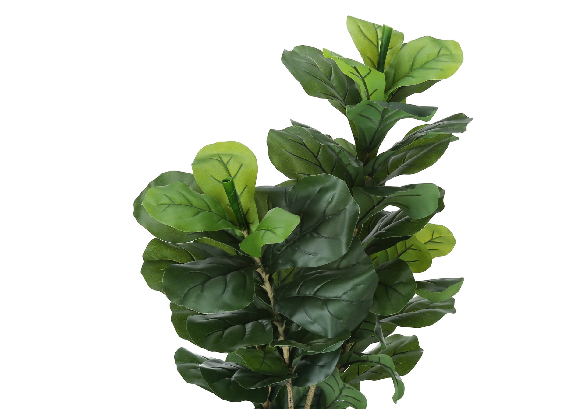 41" Tall, Artificial Plant, Fiddle Tree, Indoor, Faux, Fake, Floor, Greenery, Potted, Real Touch, Decorative - Green / Black - Image 4