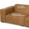 Rex - 2 Seater Sofa - Sienna - Image 13