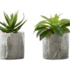 6" Tall, Artificial Plant, Succulent, Indoor, Faux, Fake, Table, Greenery, Potted, Decorative (Set of 2) - Green / Gray - Image 6