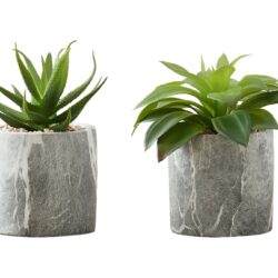 6" Tall, Artificial Plant, Succulent, Indoor, Faux, Fake, Table, Greenery, Potted, Decorative (Set of 2) - Green / Gray