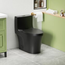 1 Piece Toilet With Dual Flush And Soft Closing Seat - Matte Black