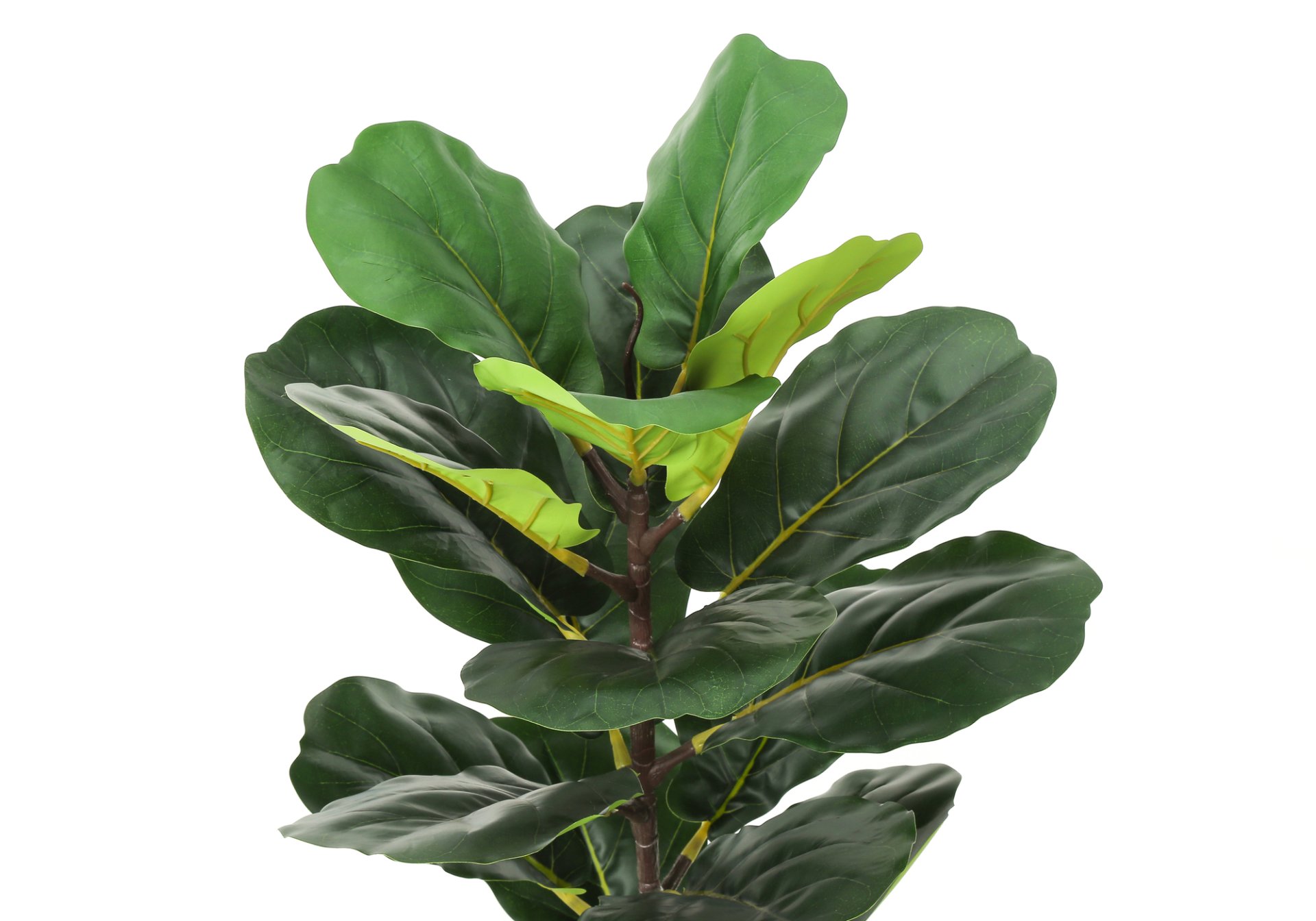 28" Tall, Artificial Plant, Fiddle Tree, Indoor, Faux, Fake, Floor, Greenery, Potted, Real Touch, Decorative - Green / Beige - Image 4