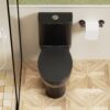 1 Piece Toilet With Tornado Flush, Soft Closing Seat, 12" Siphonic S Trap - Matte Black - Image 4
