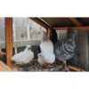 Galvanized Hardware Cloth, Gauge Metal Wire Fencing Roll For Garden And Animal Protection - Silver - Image 14
