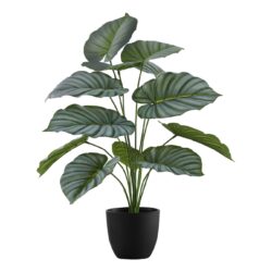 24" Tall, Artificial Plant, Calathea, Indoor, Faux, Fake, Table, Greenery, Potted, Real Touch, Decorative - Green / Black