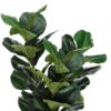 32" Tall, Artificial Plant, Fiddle Tree, Indoor, Faux, Fake, Floor, Greenery, Potted, Real Touch, Decorative - Green / Black - Image 4