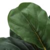 28" Tall, Artificial Plant, Fiddle Tree, Indoor, Faux, Fake, Floor, Greenery, Potted, Real Touch, Decorative - Green / Beige - Image 5