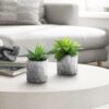 6" Tall, Artificial Plant, Succulent, Indoor, Faux, Fake, Table, Greenery, Potted, Decorative (Set of 2) - Green / Gray - Image 5