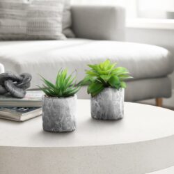 6" Tall, Artificial Plant, Succulent, Indoor, Faux, Fake, Table, Greenery, Potted, Decorative (Set of 2) - Green / Gray