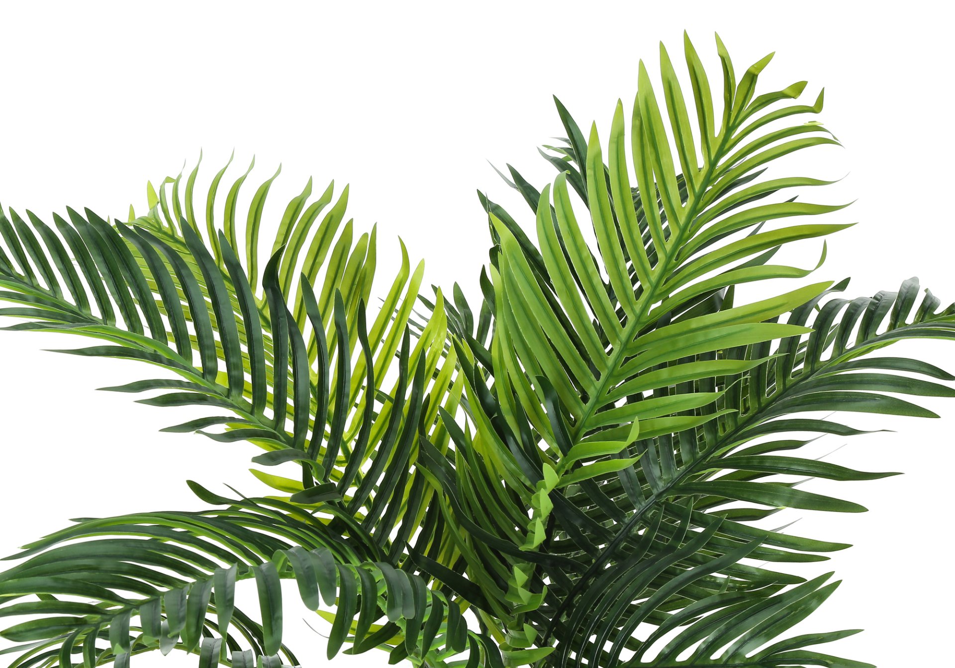 34" Tall, Artificial Plant, Palm Tree, Indoor, Faux, Fake, Floor, Greenery, Potted, Real Touch, Decorative - Green / Black - Image 5