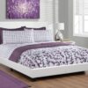 Queen Size Bed, Upholstered, Transitional - White - Image 5