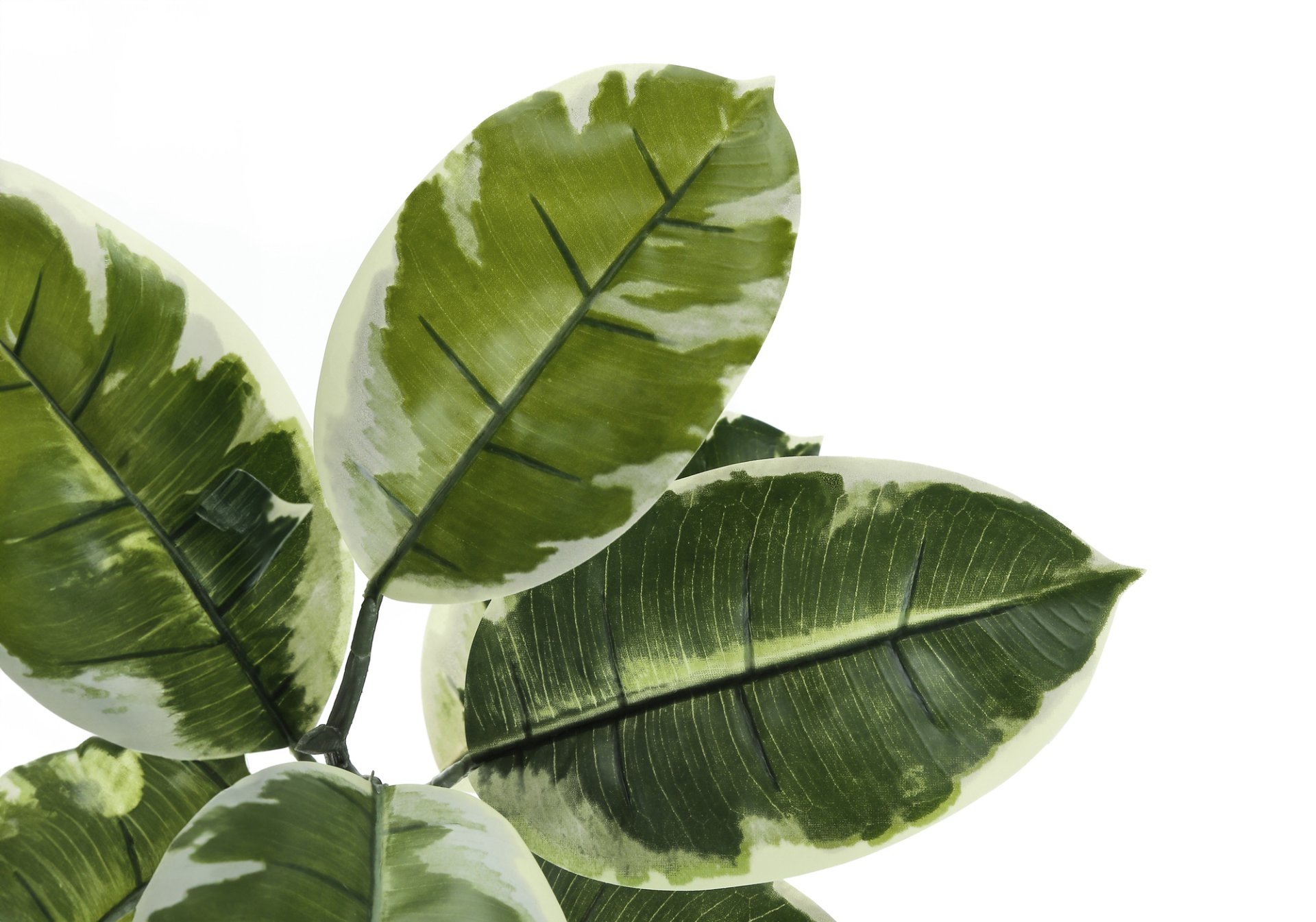 52" Tall, Artificial Plant, Rubber Tree, Indoor, Fake, Floor, Greenery, Potted, Real Touch, Decorative - Green / Black - Image 3