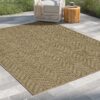 Earth - 5'3" X 7'3" Indoor, Outdoor Area Rug - Natural, Mocha - Image 4