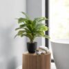 17" Tall, Artificial Plant, Dracaena, Indoor, Faux, Fake, Table, Greenery, Potted, Real Touch, Decorative - Green / Black - Image 4