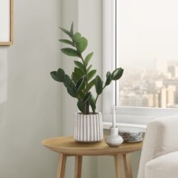 20" Tall, Artificial Plant, Zz, Indoor, Faux, Fake, Table, Greenery, Potted, Real Touch, Decorative - Green / Gray